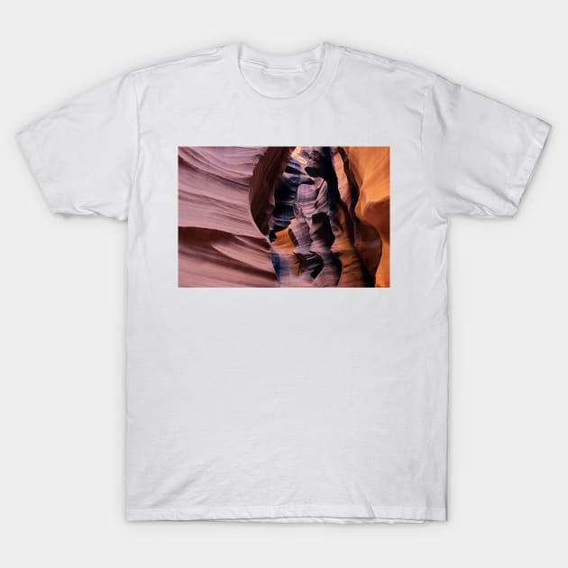 850_3733 T-Shirt by wgcosby